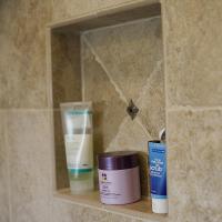 Shower niche